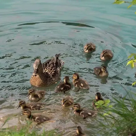 Casa vacanze House Bihać