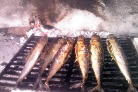 Feriehus House Bihać